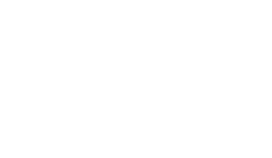Pinto Raposo Wines